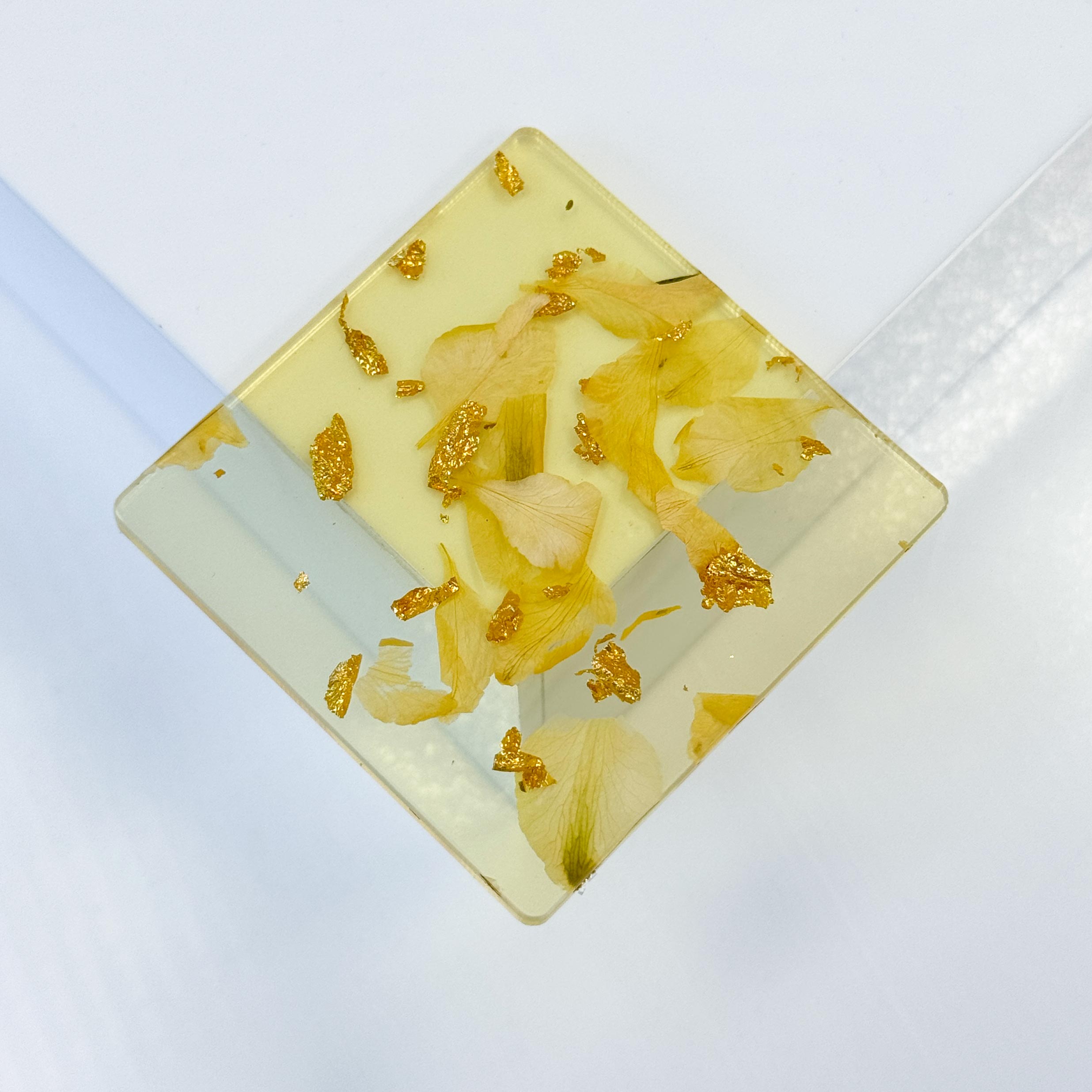 Metacrilato con Hojas Secas Amarillo 3 mm - EDICIÓN LIMITADA