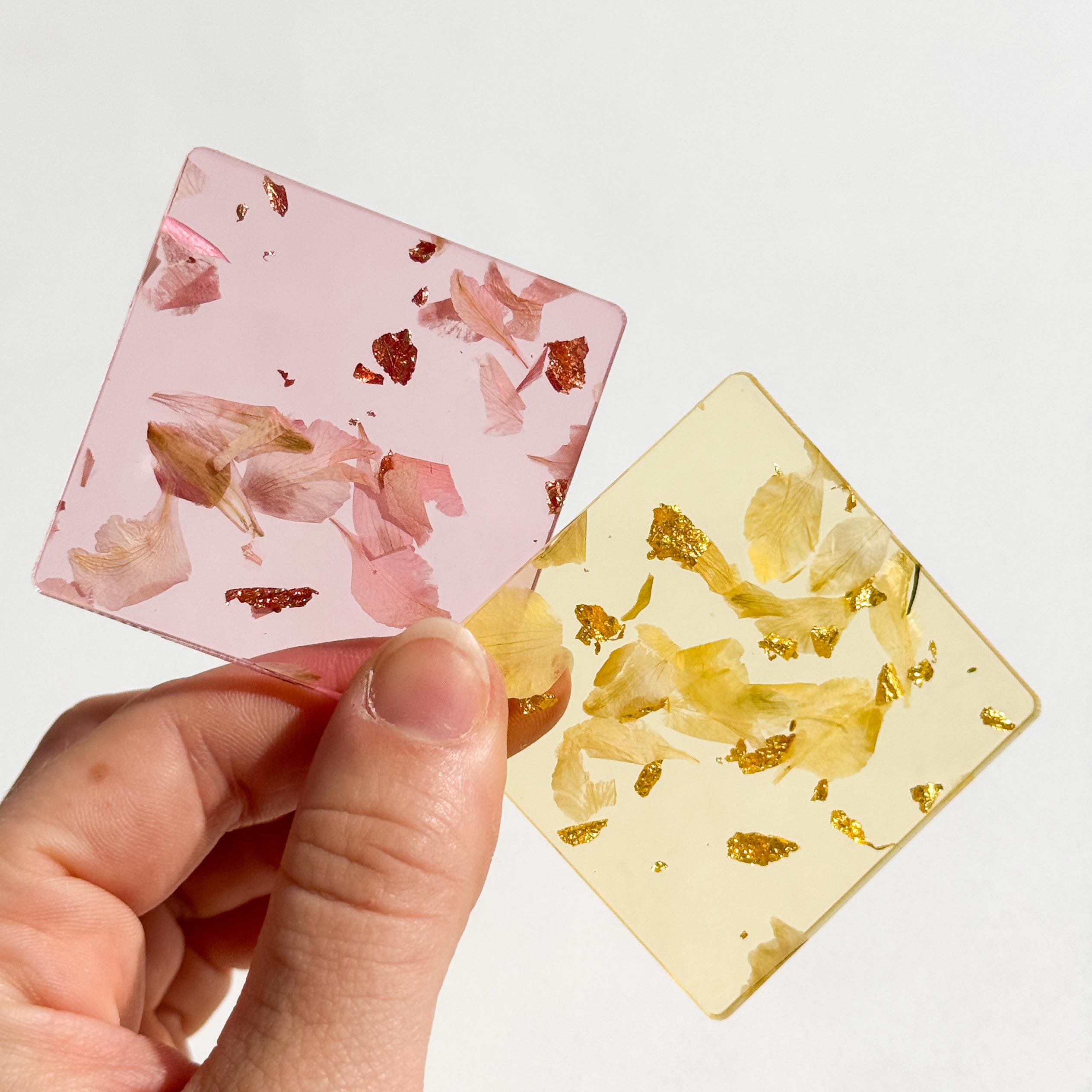 Muestrario Hojas Secas - Edición Limitada