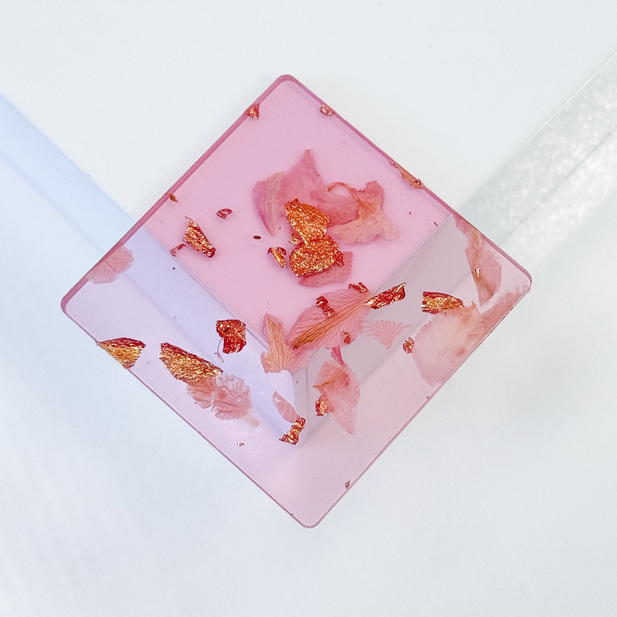 Metacrilato con Hojas Secas Rosa 3 mm - EDICIÓN LIMITADA